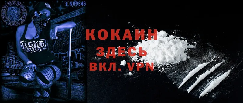 Cocaine Fish Scale  MEGA зеркало  Волгореченск 